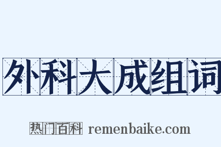 外科大成组词是什么意思的图片